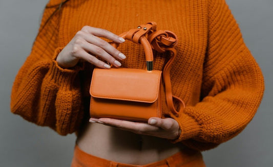 Best Mini Bags to Add to Your Collection - preneLOVE®